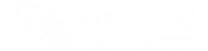 AGT Labs logo - white color
